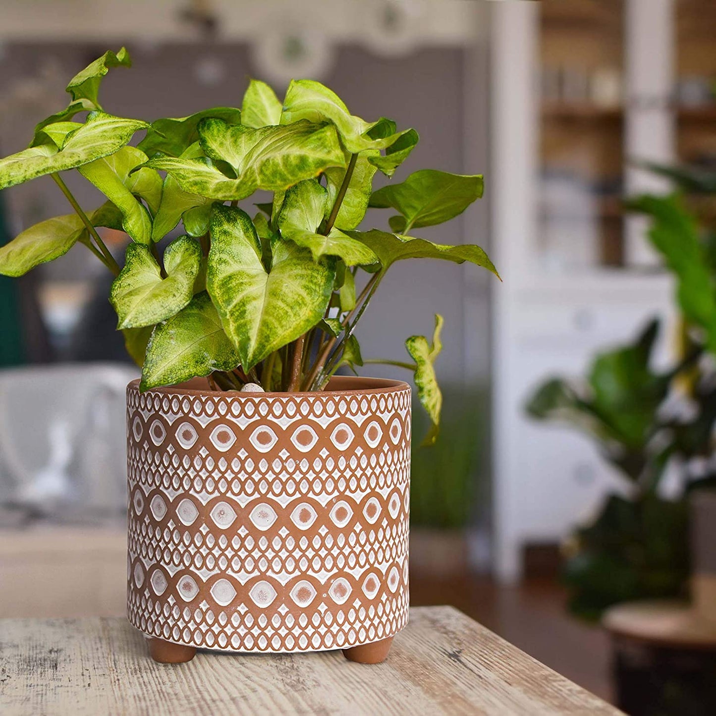 Set of 2 Terracotta Planter Pots, 4 Inch & 6 Inch, Design Plants Pot with Drainage Hole, Desert Mirage, Terracotta/White, 31-953-B-1