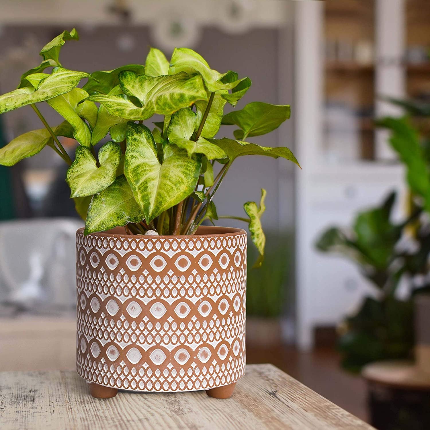 Set of 2 Terracotta Planter Pots, 4 Inch & 6 Inch, Design Plants Pot with Drainage Hole, Desert Mirage, Terracotta/White, 31-953-B-1